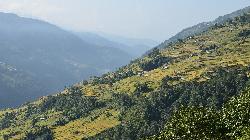 Characteristic landscape of Nepal's middle hills where rice terraces dominate the man-made landscape.
