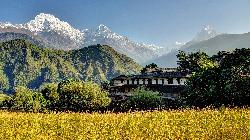 Rice terraces from Gangdruk, with fine views of Annapurna South, Hiunchuli and Machapuchare. The way to the Annapurna Base Camp goes up the valley between Hiunchuli and Machapuchare, but first some sidevalleys need to be crossed.