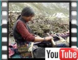 Video of young woman weaving in Shey, she lives in Saldang but comes to meadows near Shey and weaves to generate additional income.
