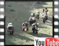 Video of yak caravan in Upper Dolpo near Saldang.