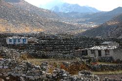 Farmhouses in the wide valley of Dingboche. Growing potatoes and herding yak is still important despite tourism.