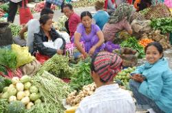 Every Saturday the market in Gangtok draws farmers who sell their produce.