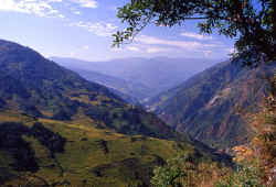 view_to_taplejung.jpg (212345 Byte)