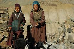Elder women return with goats from the meadows; the animals have to spend the night in the village because there are plenty of predators around at night.