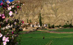 yangthang_village_1.jpg (136755 Byte)