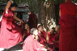 Debate in Sera monastery