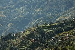 Outside the valley most people live as farmers and grow rice and millet on the steep hillsides.