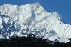 On the way to Yakthang (aka Zakchen), the sheer east face of Kangchenjunga rises above the forest.